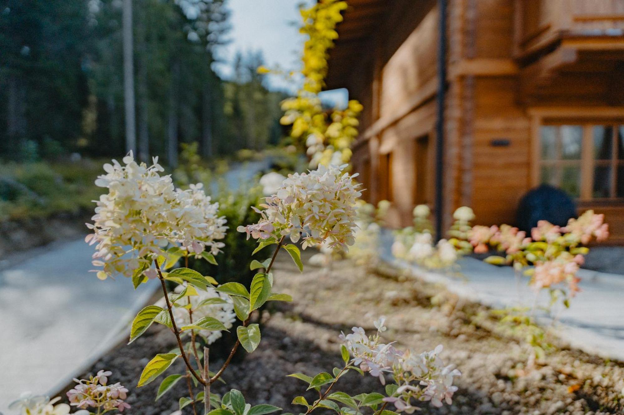 Sissi'S Green Chalets Leutasch Eksteriør bilde